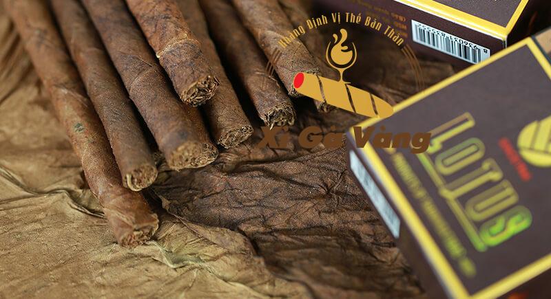 Sản phẩm xì gà Lotus 10 short rất tiện lợi